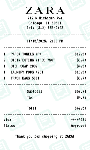 ZARA Receipt Example - Household Essentials